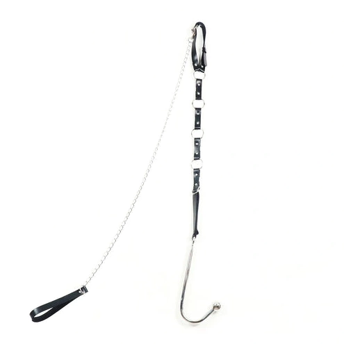 Kinky and Leash Collar 5853 Hook Anal with EverydayUse 0731